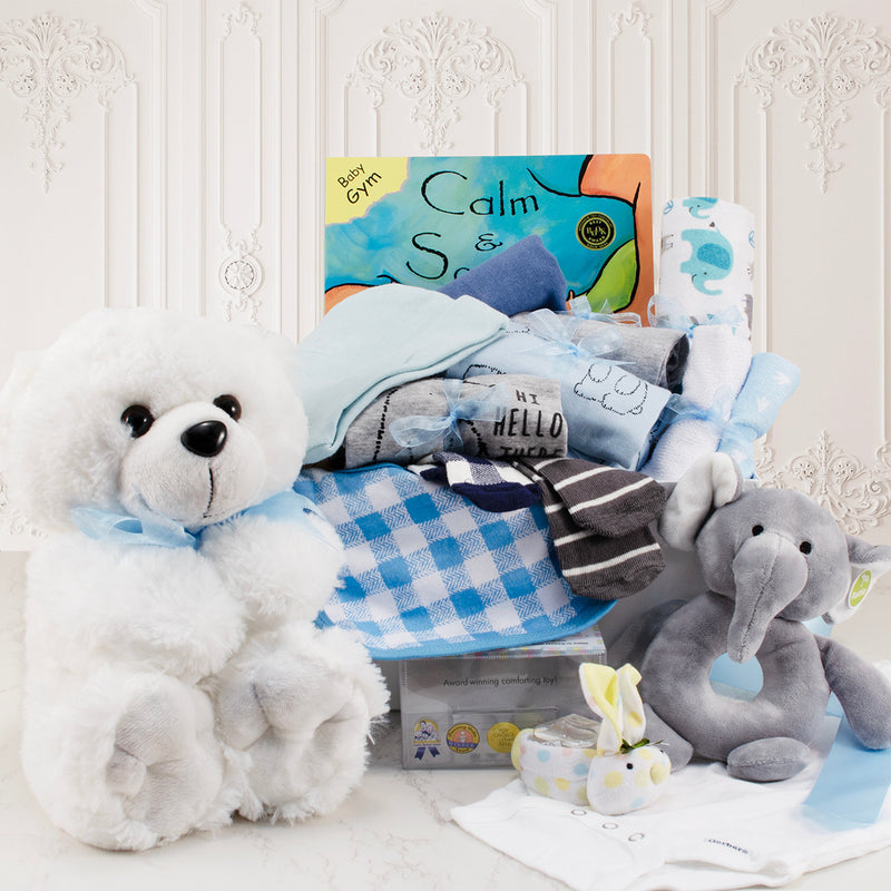 Baby Boy Essentials Gift Basket | Stork Baby Gifts