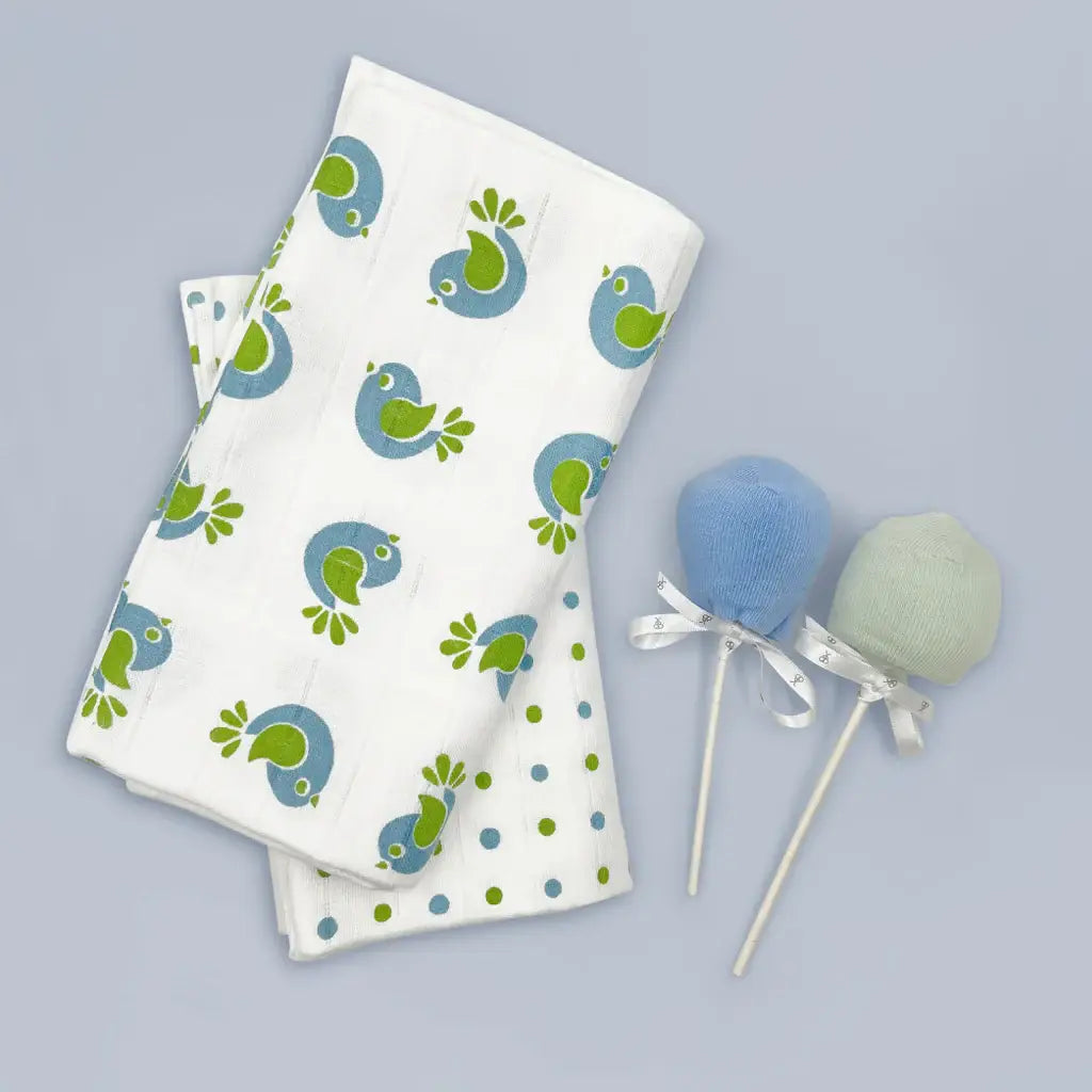 Coo & Cozy Swaddles & Socks Gift Set, Boy