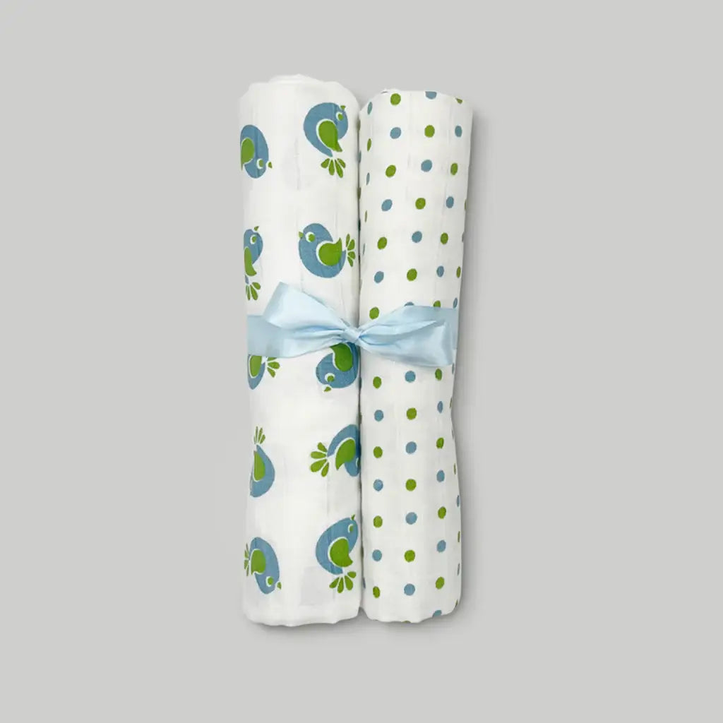 Coo & Cozy Swaddles & Socks Gift Set, Boy