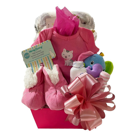 Double Blessings Twin Girls Basket - SKU:  CBC0025