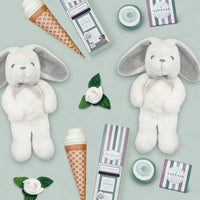 Bunny Hugs Twins Gift Box