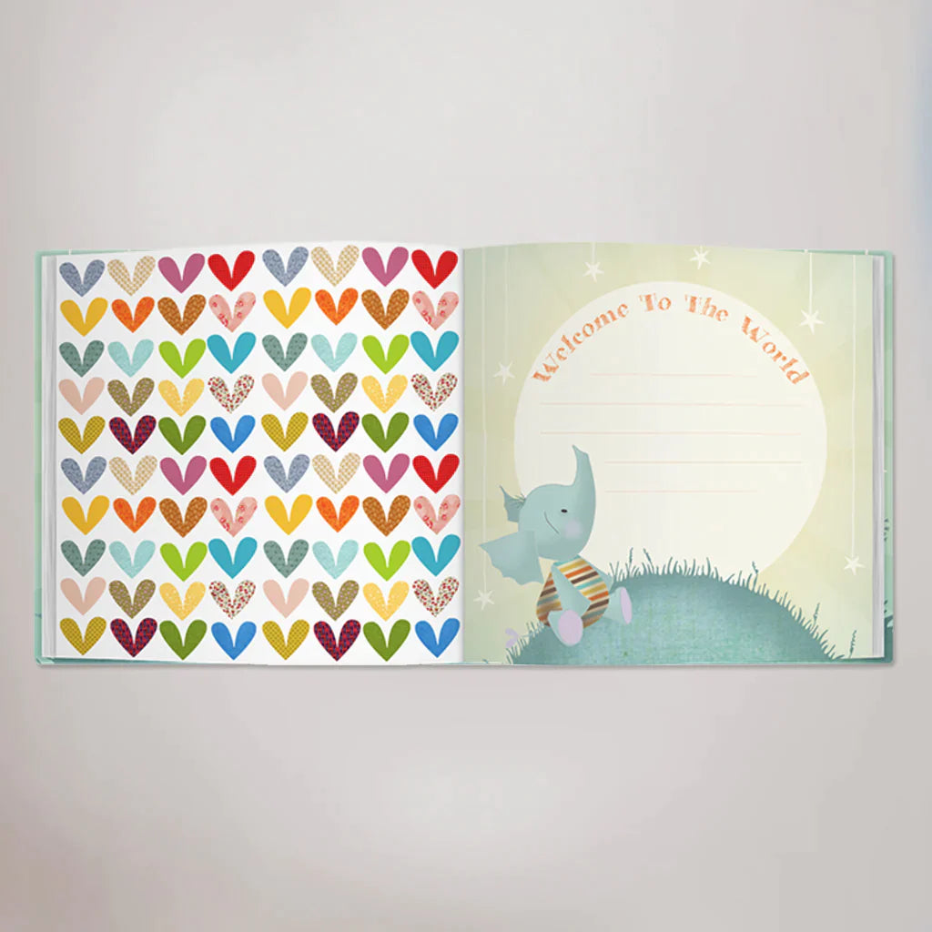 Welcome To The World Luxury Baby Basket