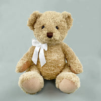 Welcome To The World Luxury Baby Boy Basket