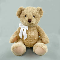 Welcome To The World Luxury Baby Basket