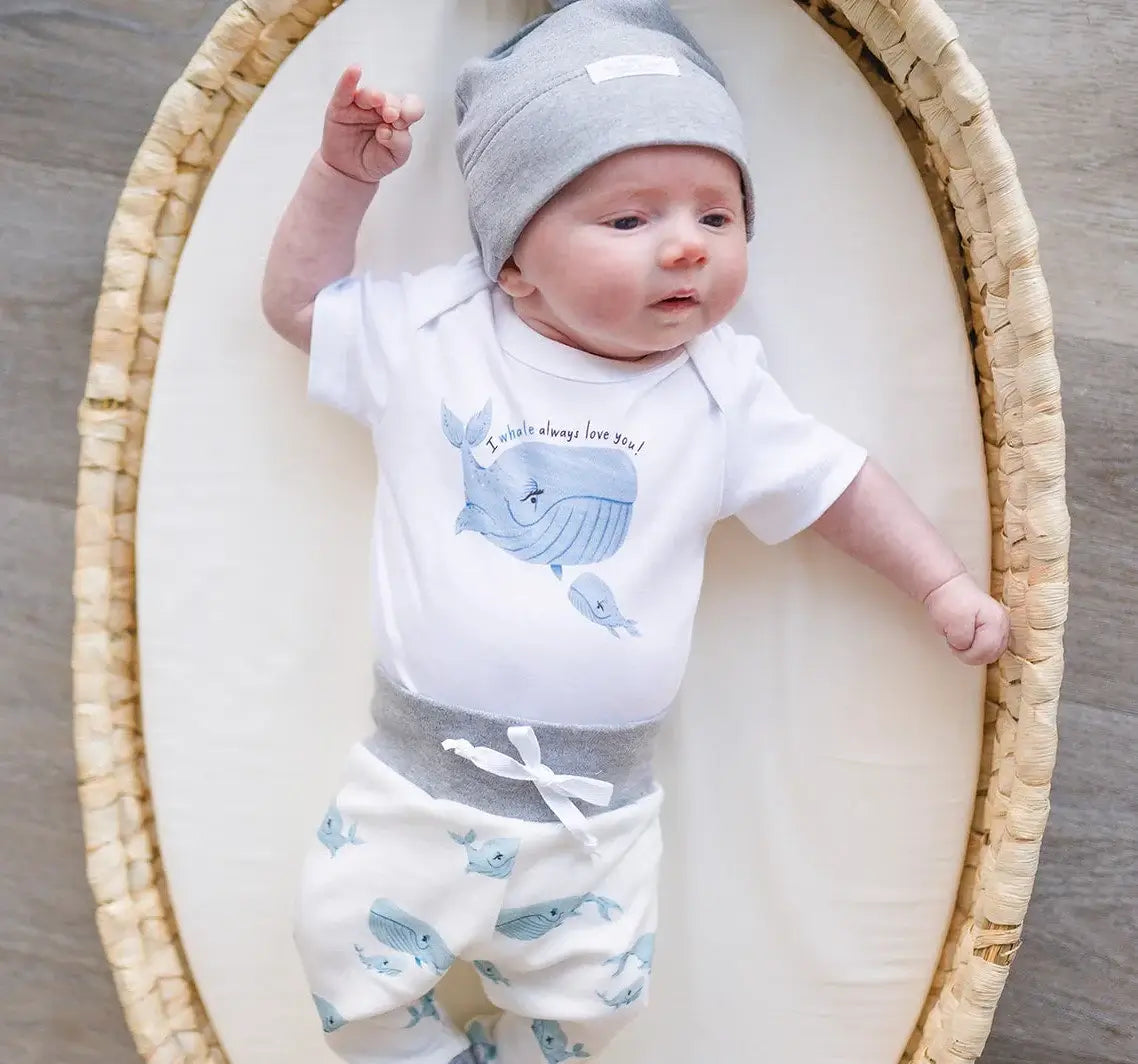 Whale Tale Newborn Welcome - Personalized Organic Baby Boy Basket