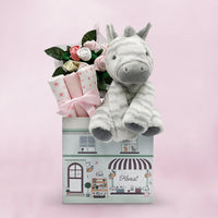 Zebra Baby Girl Welcome Gift Box
