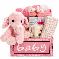 Baby Girl Premium Fundamentals