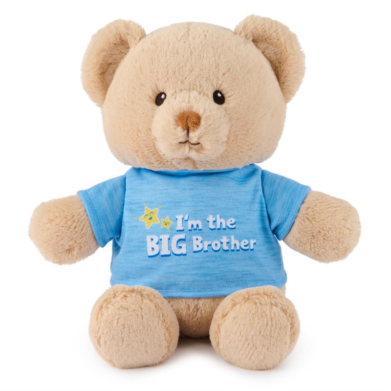 Big Brother Sibling Teddy Bear