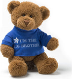 Big Brother Sibling Teddy Bear