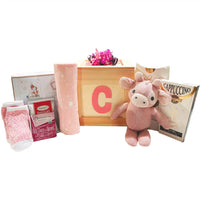 New Baby Girl Family Gift Box