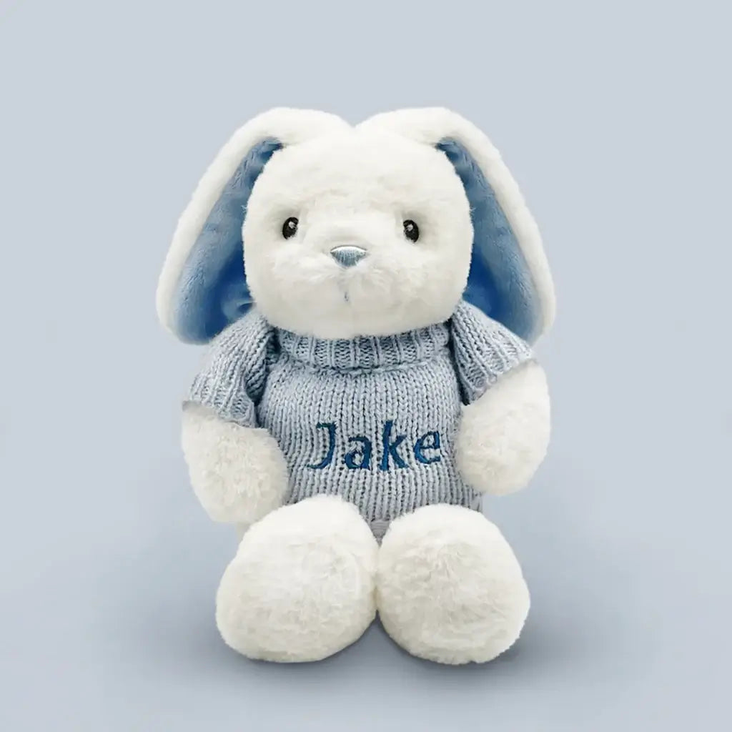 Eco Bunny & China Money Box Keepsake Gift Set for Baby Boys