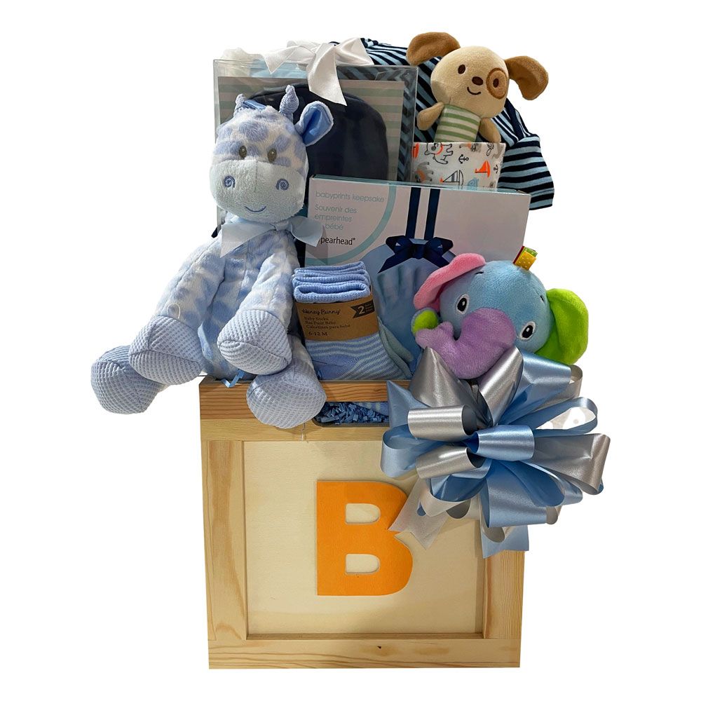 Baby Boy Blocks Gift Basket Stork Baby Gifts