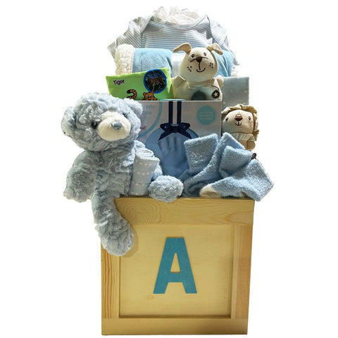 Baby Girl Premium Fundamentals - SKU:  CBC1033