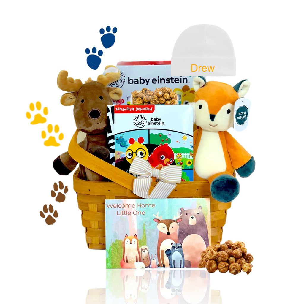 Welcome home hot sale baby basket