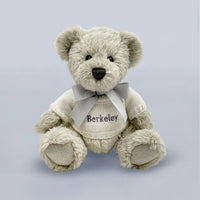Bear & Christmas Bouquet Gift Set