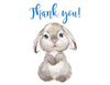 Easter Bunny Boy Thank You Card