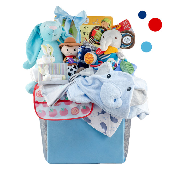 Bundle of Joy Baby Boy Gift Basket Stork Baby Gift Baskets