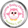 Baby Girl Owl Stickers - KISSES Candy Baby Shower (#HKS13) - StorkBabyGiftBaskets - 1