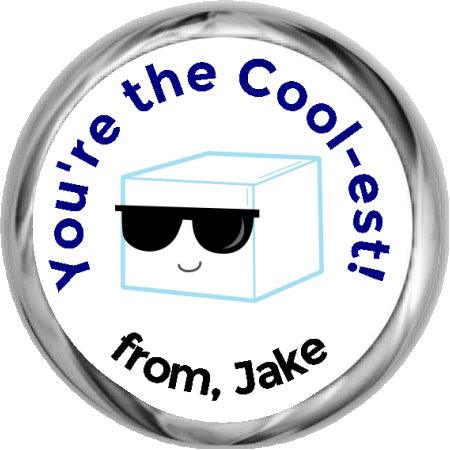 Cool Ice Cube - Party Sticker Favors - StorkBabyGiftBaskets.com