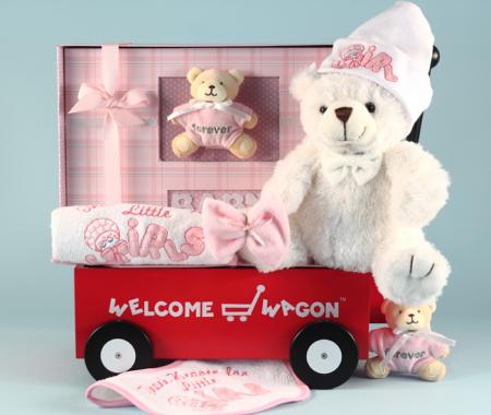Newborn Girl Welcome Wagon Gift Set