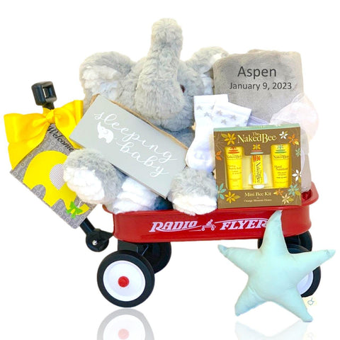 Naptime Buddy Baby Gift Set - SKU: BBC95