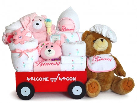 Welcome Wagon Baby Boy Gift - SKU: BGC25