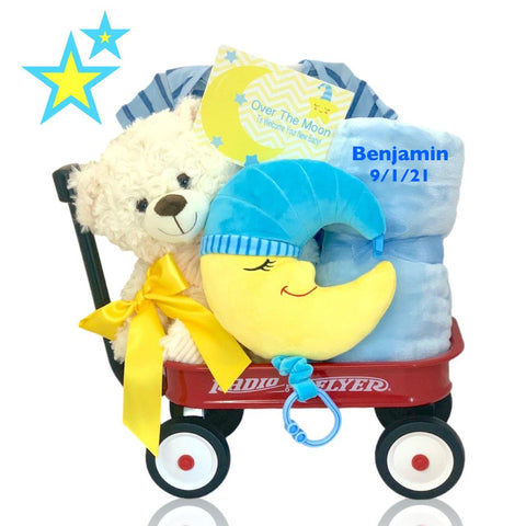 Deluxe Welcome Baby Basket - SKU:  GBDS-890111