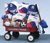 Welcome Wagon Gift For Twin Boys