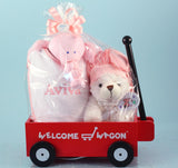 Baby Girl Welcome Wagon Gift Set (BGC26) - StorkBabyGiftBaskets - 2