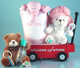 Baby Girl Welcome Wagon Gift 