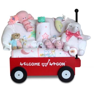 Welcome Wagon Deluxe Girl Baby Gift